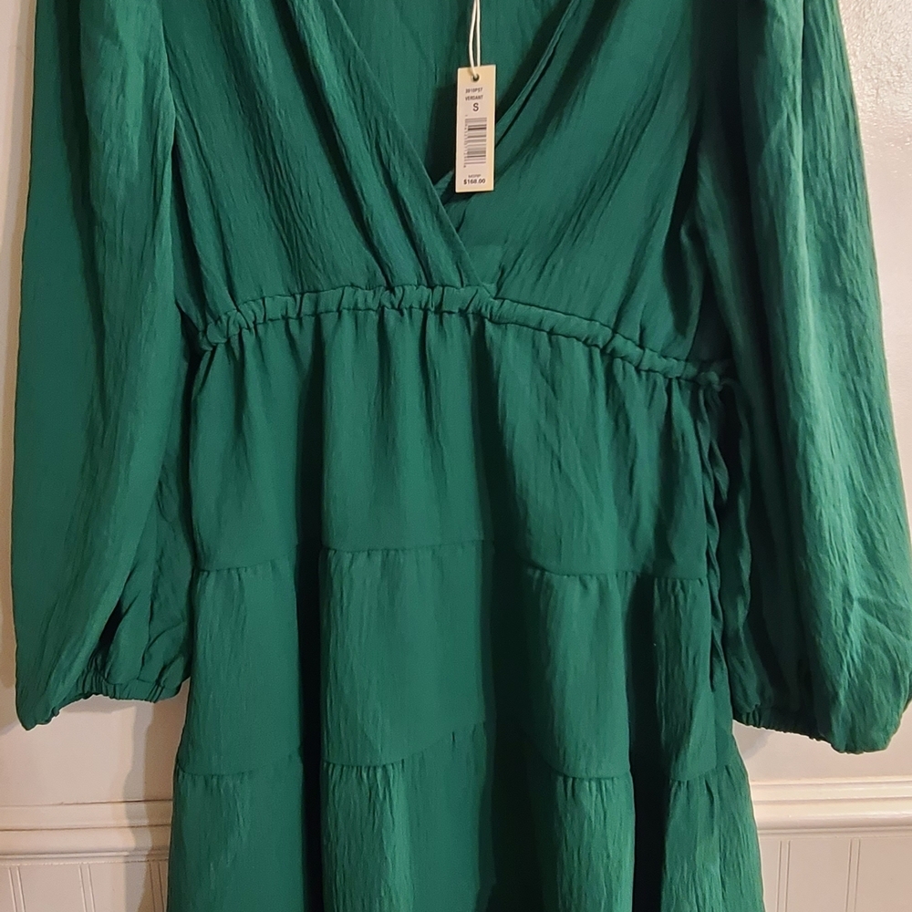 Max Studio Green Long Sleeve Dress